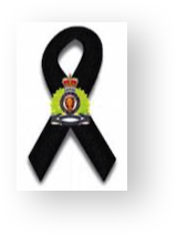 Stacks Image 11344482